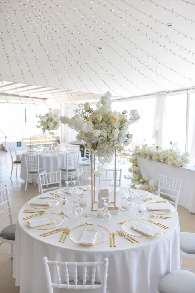 Zlatkovic photography